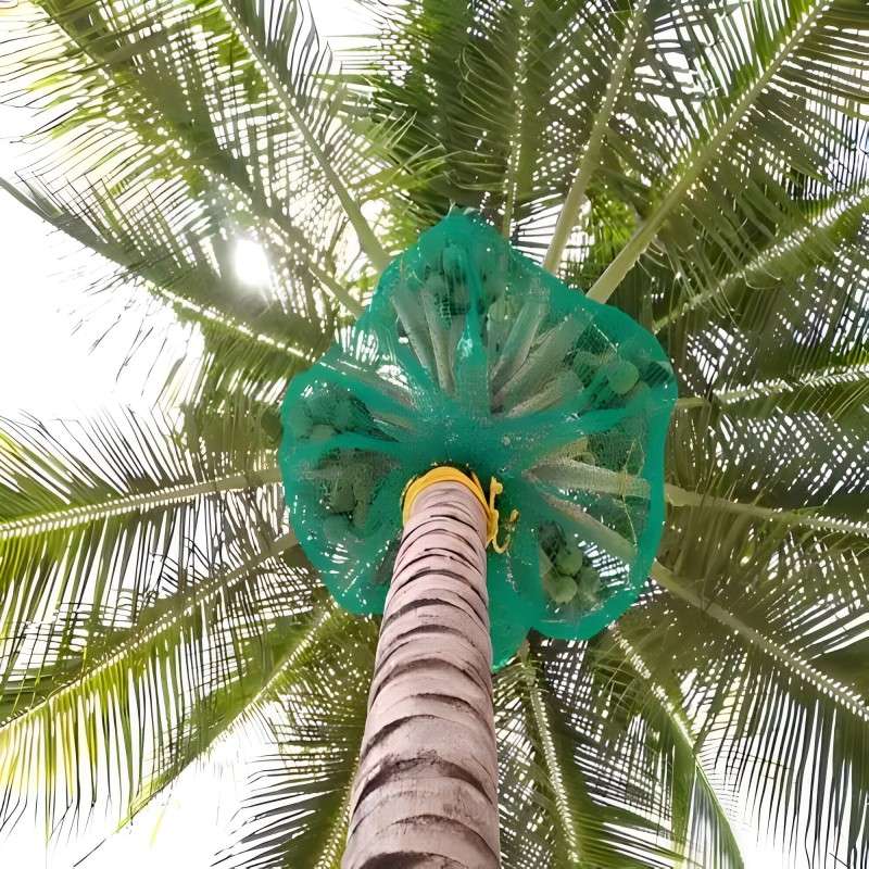 Netting Genius Coconut Tree Nets